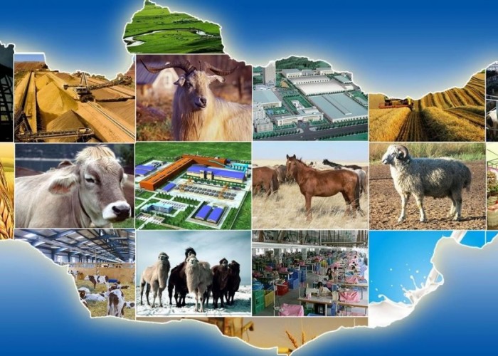 Хөдөө аж ахуйн салбарт 200 тэрбум төгрөгийн хөнгөлөлттэй зээл олгоно