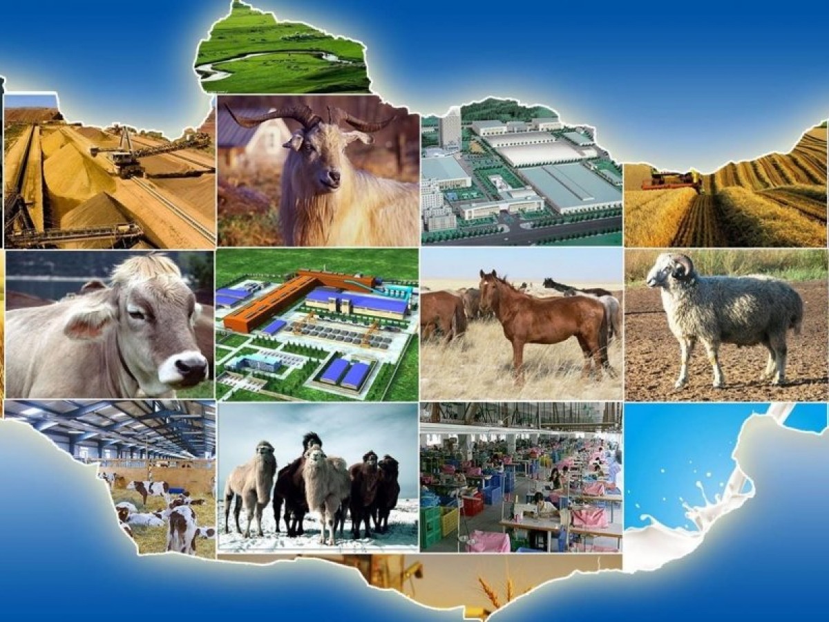 Хөдөө аж ахуйн салбарт 200 тэрбум төгрөгийн хөнгөлөлттэй зээл олгоно