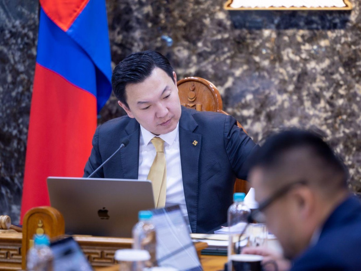 Н.Учрал: Бизнесийн эрх чөлөөний тухай хууль бол хөрөнгө оруулагч, хувийн хэвшилдээ орон зай нээж буй чөлөөлөлт юм