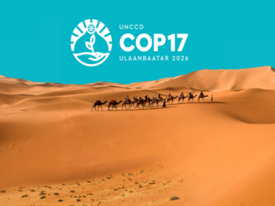 "COP17" гэж юу вэ?