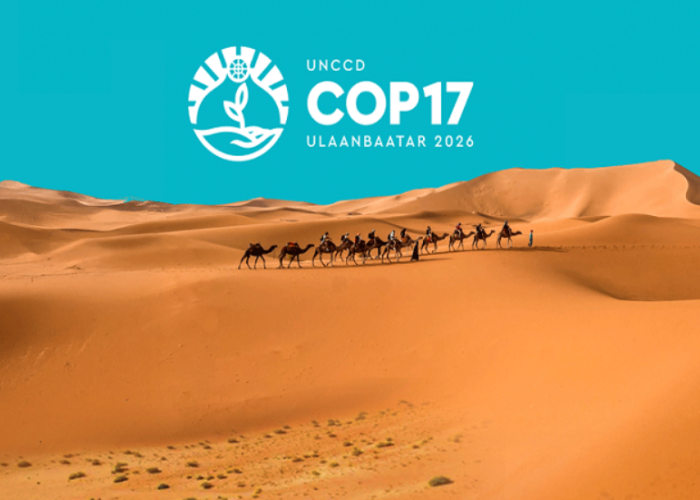 "COP17" гэж юу вэ?